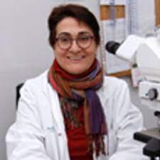 Editor Image